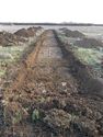 Thumbnail of Evaluation Area 3, Trench 15 plan view, 2M scale, view from SW