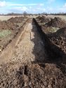 Thumbnail of Evaluation Area 2, Trench 6 plan view, 2M scale, view from NW
