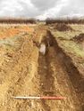 Thumbnail of Evaluation Area 2, Trench 14 plan view of intervention, 1M & 2M scale, view from SW