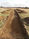 Thumbnail of Evaluation Area 2, Trench 22 general view, 1M & 2M scale, view from WNW