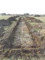 Thumbnail of Evaluation Area 2, Trench 23 general view, 1M & 2M scale, view from SE