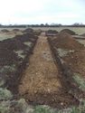 Thumbnail of Evaluation Area 2, Trench 24 plan view, 1M & 2M scale, view from N