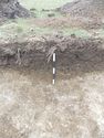 Thumbnail of Evaluation Area 2, Trench 7 NE facing section of linear [707], 0.5M scale, view from NE