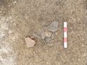 Thumbnail of Evaluation Area 2, Trench 7, pottery within fill (708) of linear [707], 0.25M scale, view from SE