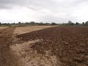 Thumbnail of Area B, pre-ex view from E