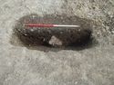 Thumbnail of Area A, SE facing section of pit [3019], 1M scale, view from SE