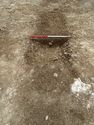Thumbnail of Area A, N facing section of ditch [3062], 1M scale, view from N