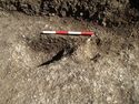 Thumbnail of Area A, S facing section of posthole [3073], 0.4M scale, view from S