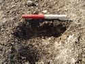 Thumbnail of Area A, N facing section of beam trench [3075], 0.2M scale, view from N