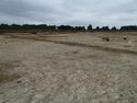 Thumbnail of Area A, post-ex view of eastern end of Area A, view from NE