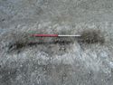 Thumbnail of Area A, pits [3104] [3106] & [3108] with root disturbance, 1M scale, view from SE