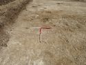 Thumbnail of Area A, general view of posthole cluster, 2M scale, view from W
