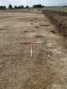 Thumbnail of Area A, general view of posthole cluster, 2M scale, view from E