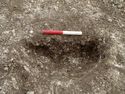 Thumbnail of Area A, S facing sec of posthole [3151], 0.2M scale, view from S