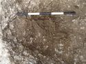 Thumbnail of Area A, grave cut [3132] with SK3131, 0.5M scale, view from ENE