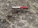 Thumbnail of Area A, N facing section of ring gully [3175], 0.2M scale, view from N