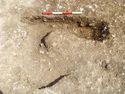 Thumbnail of Area A, general view of posthole [3177] & gully [3179], 0.4M scale, view from W