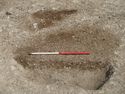 Thumbnail of Area A, W facing section of treethrow (3181), 1M scale, view from W