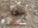 Thumbnail of Area A, S facing section of posthole [3183], 0.2M scale, view from S