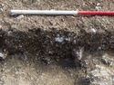 Thumbnail of Area A, SW facing section of pits [3205] & [3208], 2M scale, view from SW