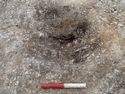 Thumbnail of Area A, NE facing section of pit [3217], 0.2M scale, view from NE