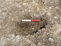 Thumbnail of Area A, W facing section of posthole [3221], 0.2M scale, view from W