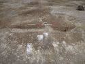 Thumbnail of Area A, S facing section of quarry pits [3251] & [3253], 2M scale, view from S