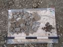 Thumbnail of Area A, pottery from pit fill (3250), 0.5M scale