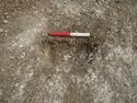 Thumbnail of Area A, W facing sec of posthole [3257], 0.2M scale, view from W