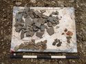 Thumbnail of Area A, pottery from (3272) in quarry pit [3274], 0.5M scale