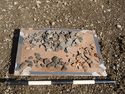 Thumbnail of Area A, discarded pottery from surface fill of ditch (3379), 0.5M scale