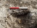 Thumbnail of Area A, S facing section of gully [3386], 0.2m scale, view from S