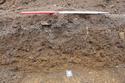 Thumbnail of Trench 1 section looking N