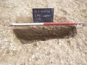 Thumbnail of View to E, S.41, Pit [131], 1x1m scale