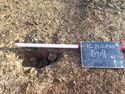 Thumbnail of View to N, posthole [178] 1x1m scale