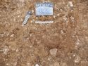 Thumbnail of North-west facing pre-excavation shot of pit [006] (0.2m scale)