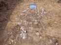 Thumbnail of North-west facing pre-excavation shot of pit [004] (north arrow for scale)