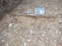 Thumbnail of North-west facing section of pit [016] (0.2m scale)