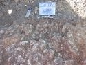 Thumbnail of South facing section of topsoil (017) (0.2m scale)