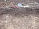 Thumbnail of North-east facing section of pit [024] (1m scale)