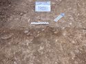 Thumbnail of South-east facing section of linear ditch [027] (0.2m scale)