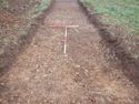 Thumbnail of North-east facing shot of north trench (1m and 2m scales)
