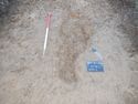 Thumbnail of North-east facing shot of grave cut [032] (1m scale)