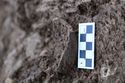 Thumbnail of Close up shot of pottery (small find 004) found within (037) (0.05m)