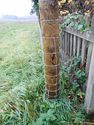 Thumbnail of P7231821 detail of fence post 4