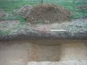 Thumbnail of Ditch 8902 looking S