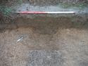 Thumbnail of Ditch 7402 looking NW
