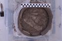 Thumbnail of Micro-excavation of fill of Roman Savernake grog tempered ware pottery (RA 47): spit 1