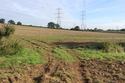 Thumbnail of General site shot