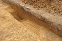 Thumbnail of Ditch 1009 looking SE